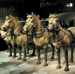horses