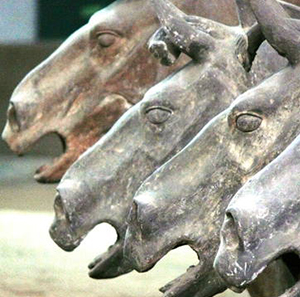 horses-faces